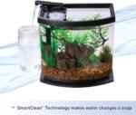 Aqueon LED MiniBow Small Aquarium Fish Tank Kit with SmartClean Technology, Black, 2.5 Gallon - Image 4