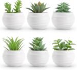 Der Rose Set of 6 Succulents Plants Artificial in Pots Small Fake Plants for Bedroom Aesthetic Living Room Shelf Bathroom Decor Office Desk Accessories - Image 2