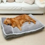 Large Dog Bed with Pillow for Crate Kennel, Sofa Dog Bed, Super Soft pet Bed for Medium, Jumbo, Furniture - Image 2