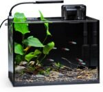 NICREW 2.5 Gallon Nano Nature Aquarium Kit, Ultra-Clear Rimless Desktop Fish Tank with Light, Filter, Gravel and Rock, Perfect for Small Fish, Shrimp, or Betta, Complete Version, Black - Image 2