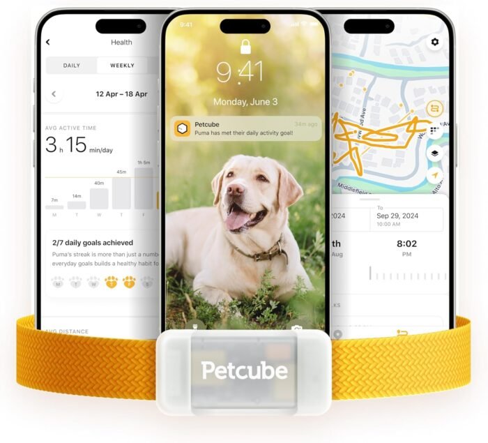 Petcube GPS Tracker for Dogs | Pet GPS Location Tracker with Escape Alerts and Virtual Fences, Activity and Wellness Monitoring, Glows in a Dark, Water and Dust Proof - Image 2