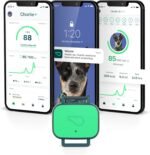 Whistle Health Smart Device | Dog Health and Fitness Tracker | Track Scratching, Licking, Drinking, Eating, Sleeping, and Activity, Green - Image 2