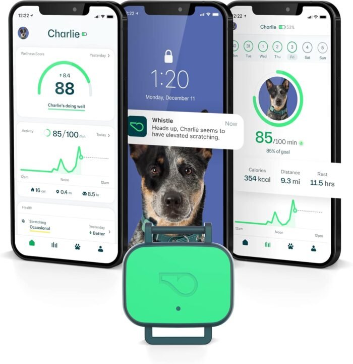 Whistle Health Smart Device | Dog Health and Fitness Tracker | Track Scratching, Licking, Drinking, Eating, Sleeping, and Activity, Green - Image 2