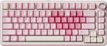 YUNZII B75 PRO Wireless Mechanical Keyboard,75% Layout with Knob,Hot Swap Gasket Custom Structure,Creamy Pre-lubed Switches,RGB Backlit,Bluetooth/Type-C/2.4G for Win/Mac(Milk Switch,Pink) - Image 2