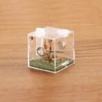 crapelles Jumping Spider Micro Middle Habitat, Small Pet Insect Breeding Box, 360 Degree Transparent Reptile Cage, Acrylic Case Mini Carrier for Amphibians, Feeding Container Enclosure Accessories - Image 2