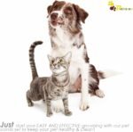 4 Pack Flea Lice Comb, Stainless Steel Dog Cat Grooming Combs with Rounded Teeth, Double Sided Professional Pet Tear Stain Remover, Dematting Tool for Small, Medium & Large Pets - Image 5