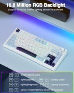 AULA F75 75% Wireless Mechanical Keyboard, Hot Swappable Creamy Keyboard, Pre-lubed Reaper Switches, 2.4GHz/Type-C/BT5.0, RGB Backlit Gaming Keyboards(White & Blue) - Image 4