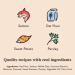 Bocce's Bakery Oven Baked Salmon Recipe Treats for Dogs, Wheat-Free Everyday Dog Treats, Made with Real Ingredients, Baked in The USA, All-Natural Soft & Chewy Cookies, Salmon, 6 oz - Image 4