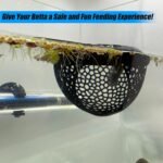 Aquarium Floating Betta Fish Skins, Betta or Shrimp Feeder, Cave and Hammock, Small Fish Feeding Rings, Aquarium Hiding Feeding Decorative Accessories (Black) - Image 5