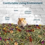 Sukh 150G Hamster Bedding - Flowers & Herbs Odor Control Dwarf Gerbil Robo Katy Habitat Decor Hamster Forage Gerbils Mice Lemmings Degus or Other Small-Sized Pets - Image 3