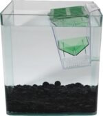 Penn-Plax Breed and Show Nursery Fish Tank - Image 4