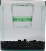 Penn-Plax Breed and Show Nursery Fish Tank - Image 6