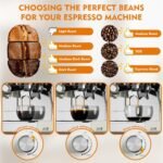 Espresso Machine with Grinder, 20 Bar Professional Espresso Maker with 19 Grind Sizes, Coffee Machine with Milk Frother, 2.8L Removable Water Tank for Latte & Cappuccino - Image 3