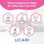 UCARI Pet Sensitivity Test | Screens for 1000+ Intolerances | Food & Environment Analysis | Painless Home Test Hair Sample Method | Results in 48 Hours | Cats & Dogs - Image 7