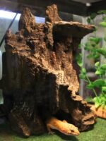 Penn-Plax Reptology Shale Step Ledge Cave Hideout - Aquarium & Terrarium Decoration - for Fish, Reptiles, Amphibians, and Small Animals - Large 2 (REP189) - Image 6