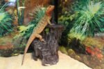 Penn-Plax Reptology Shale Step Ledge Cave Hideout - Aquarium & Terrarium Decoration - for Fish, Reptiles, Amphibians, and Small Animals - Large 2 (REP189) - Image 8