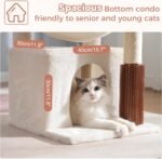 Cat Tree 32 Inches Small Cat Tree for Large Cats Adult Cat Tower with Scratching Post,15.7”Large Hammock and Self Groomer, and Removable Top Perch and Wide Condo for Indoor Cats-Beige - Image 4
