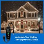 Lutron Smart Outdoor Plug for Caseta Smart Lighting, for Summer, Patio, Backyard, and Outdoor Lights, & Motors, 15A LED Fixtures & 1/2 HP Motors, PD-15OUT-BL, Black - Image 3