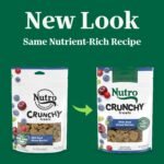 Nutro Crunchy Dog Treats with Real Mixed Berries, 10 oz. Bag - Image 4