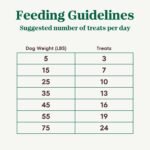 Nutro Crunchy Dog Treats with Real Mixed Berries, 10 oz. Bag - Image 10