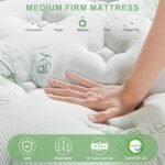 Queen Size Mattress 12 Inch, Medium Firm Memory Foam Hybrid Mattress with Individual Pocket Spring - Pressure Relief, Motion Isolation, Cool Sleep, 80" x 60" - Image 3