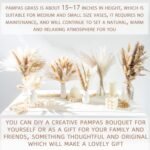 70PCS Natural Dried Pampas Grass Boho Home Decor Bouquet Phragmites Dried Flowers Bouquet for Wedding Floral Arrangements Home Decorations (70PCS) - Image 6