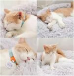 Dog Bed for Small Medium Large Dogs Cats, 20 inch Calming Washable-Round Cozy Soft Pet Bed for Puppy and Kitten with Slip-Resistant Bottom - Image 5
