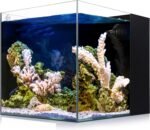 Coralland 8-Gallon Saltwater Aquarium - Ultra Clear Low Iron Glass, 45° Angled Joint Design, Crystal Clear Viewing, Perfect for Marine Fish & Reef Tanks & Freshwater - Image 2