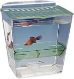 Penn-Plax Breed and Show Nursery Fish Tank - Image 2