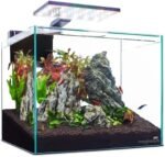 imagitarium Glass Shrimp & Aquatic Plants Aquarium 5 Gallons - Image 2
