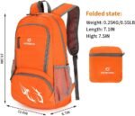 FENGDONG 35L Lightweight Foldable Waterproof Packable Travel Small Hiking Backpack Daypack for men women - Image 3