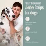 Ollie Chicken and Apple Jerky Dog Treats, 5 oz Pack of 3, All Natural, Healthy Snacks, Made with Real Meat, Human Grade, for Dogs - Image 4