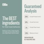 Ollie Chicken and Apple Jerky Dog Treats, 5 oz Pack of 3, All Natural, Healthy Snacks, Made with Real Meat, Human Grade, for Dogs - Image 6