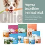 Ollie Chicken and Apple Jerky Dog Treats, 5 oz Pack of 3, All Natural, Healthy Snacks, Made with Real Meat, Human Grade, for Dogs - Image 7
