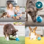 Our Pets Smarter Toys IQ Treat Ball - Colors Mary Vary - 4" - for Larger Dogs - Image 6