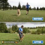 Pro Dog Bark Deterrent and Training Device - Stop Barking Without Hurting Your Pet - Rechargeable Ultrasonic Dog Bark Trainer - Just Point and Press, Black - Image 5