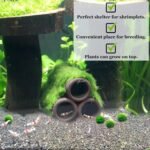 SunGrow Betta & Shrimp Ceramic Shelters, 2.8 x 1.8 x 0.6 Inches, Small Reptile & Lizard Hiding Cave Connected Tubes, Aquarium Decor - Image 4