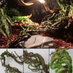BNOSDM Reptile Bend-A-Branch Vines with Moss,Bendable Reptile Jungle Vines,Bearded Dragon Climbing Plants Tank Accessories,Pet Habitat Decor for Chameleon Geckos Snakes Lizards Frogs - Image 3