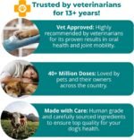 1TDC WorksSoWell Dual Action Joint Supplement For Dogs & Cats - Hip And Joint Supplement For Large Breed & Small Breed - Also Great For Oral Health - Muscle & Stamina Recovery & Arthritis - 120ct - Image 4
