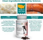 1TDC WorksSoWell Dual Action Joint Supplement For Dogs & Cats - Hip And Joint Supplement For Large Breed & Small Breed - Also Great For Oral Health - Muscle & Stamina Recovery & Arthritis - 120ct - Image 5