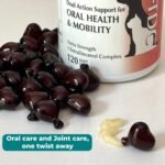 1TDC WorksSoWell Dual Action Joint Supplement For Dogs & Cats - Hip And Joint Supplement For Large Breed & Small Breed - Also Great For Oral Health - Muscle & Stamina Recovery & Arthritis - 120ct - Image 6