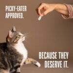 Whole Life Cat Just One Chicken Freeze Dried Cat Treats - Human Grade High Protein Food, Healthy Training Snacks, Freeze Dried Chicken Food Toppers, USA Made Natural Treats - 1 oz (Pack of 1) - Image 6