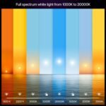 Philips Hue Smart LED A21 Bulb, White Ambiance, E26, 13.5W, Full Spectrum Light 1000K-20000K,1600 Lumens, Dimmable, Works with Alexa, Google Assistant, Apple Home, 1-Pack - Image 4