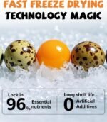 PAWUP Freeze Dried Cat & Dog Treats, Natural Quail Egg Yolk, Single Ingredient, High-Protein Pet Snacks for Skin & Coat Health, No Artificial Additives, 9.2 oz - Image 4