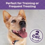 Old Mother Hubbard Wellness Training Bitz Assorted Mix Dog Biscuits, Natural, Training Treats, Three Flavors, Small Size, (8 Ounce Bag) - Image 5