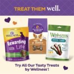 Old Mother Hubbard Wellness Training Bitz Assorted Mix Dog Biscuits, Natural, Training Treats, Three Flavors, Small Size, (8 Ounce Bag) - Image 8