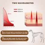 Dog Cold Laser Therapy Device for Pets, Near Red Light Therapy for Cat Hip Joint, 8*808nm+16*650nm, Pain Relief and Muscle Relax, Horse Puppy Infrared Machine at Home Accelerate Healing Equine - Image 7