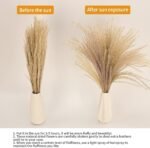 65PCS Pampas Grass Decor, Including pompas Floral, Reed Dried Grass and Bunny Tails Dried Flowers, Natural Dried Pampas Grass Bouquet for Boho Decor Wedding, Home Decoration - Image 3