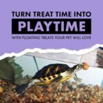 Zilla Turtle Chasers Floating Treats, Made with Real Shrimp, Resealable Bag - Image 6