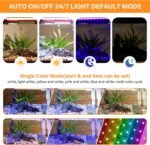 hygger Smart Aquarium Starter Kit, Glass Fish Tank with 24/7 Mode Light, Heater, Water Pump, Filter Media, Auto Feeder,Water Changer, Cleaning Tool, Fishing Net,Timer Automatic Switch (10 Gallon) - Image 3